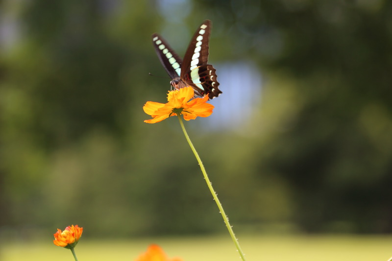 140909_1458