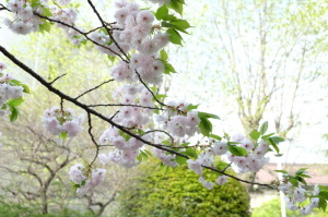 160413_F6664